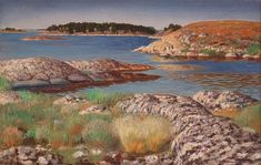 an oil painting of rocks and grass by the water