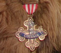 a close up of a dog with a medal on it's neck