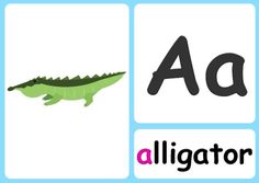 the letter a is for alligator