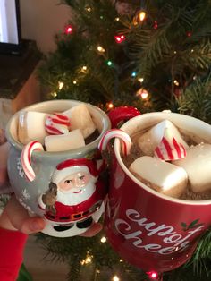 two cups filled with hot chocolate and marshmallows on top of a christmas tree