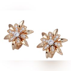 These Beautiful Floral Design With A Cluster Of White Zircon Is A Must Collection For Your Wardrobe By Grathia Cero. The Size Is So Perfect And Can Be Worn In The Evening To Give You An Elegant Look With A Lot Of Sparkle. Bring A Touch Of A Lovely Floral Design To Your Wardrobe With This Pair Of Crystal Stud Earrings Arranged In The Shape Of A Modern Bloom. Shimmering Round White Zircon Form Clusters Of Stars In These Elegant Rose Gold Stud Earrings. Formal Flower Shaped Diamond Earrings With Accents, Formal Flower-shaped Diamond Earrings With Accents, Luxury Flower Earrings With Brilliant Cut For Formal Occasions, Luxury Flower Earrings With Brilliant Cut For Formal Events, Luxury Flower Shaped Cluster Earrings For Formal Occasions, Luxury Brilliant Cut Flower Earrings For Formal Occasions, Luxury Flower Shaped Cluster Earrings For Formal Events, Luxury Flower-shaped Cluster Earrings For Formal Occasions, Luxury Bridal Earrings In Flower Shape For Formal Events