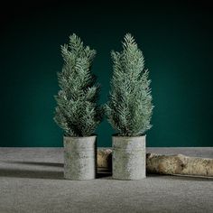 two potted plants sitting on top of a table next to a piece of wood