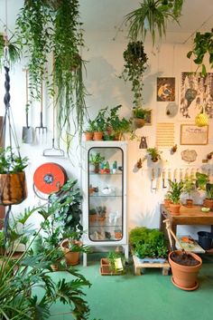 a wooden table topped with lots of plants next to a shelf filled with potted plants