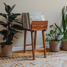 there is a plant in the corner next to a wooden stand with records on it