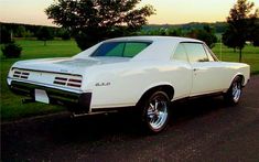 a white car parked on the side of a road next to a lush green field