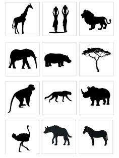 the silhouettes of different animals are shown in black and white, including an elephant, rhino