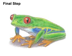 a drawing of a frog with the words final step on it's front cover