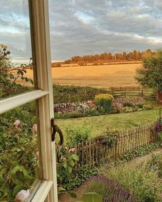 an open window looking out at a field and flowers in the foreground, with a wooden fence to the right