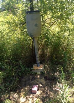 an old toilet in the middle of some brush