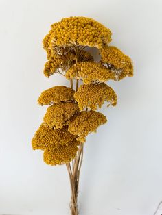 a bunch of yellow flowers sitting on top of a white table next to a wall