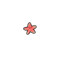 an orange and pink starfish on a white background