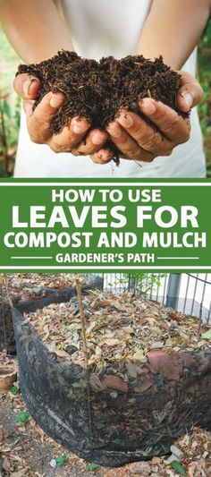 two hands holding compost and mulch with text overlay that reads how to use leaves for compost and mulch gardener's path