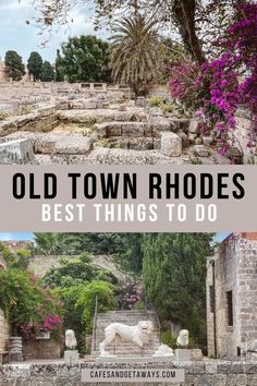 an old town with stairs and flowers in the background