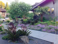 a house with landscaping in front of it and purple flowers growing on the side yard