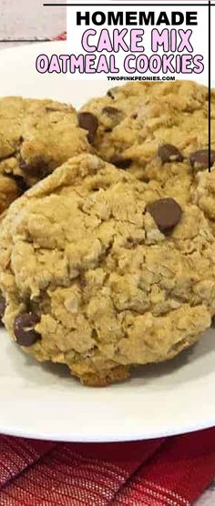 two oatmeal chocolate chip cookies on a white plate with text overlay