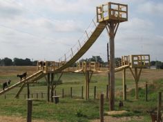 an animal park with several animals on the ground and a slide in the middle of it