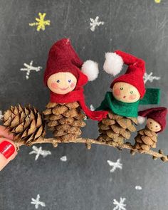 two little gnomes are sitting on a pine cone and one is holding a pine cone