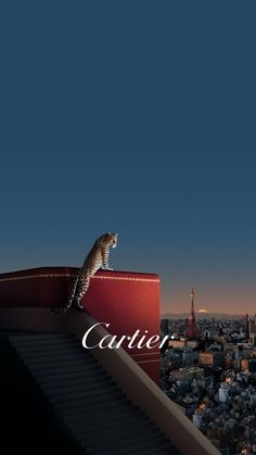 a cat sitting on top of a roof next to a cityscape with the caption cartier