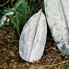 two large silver leaves laying on the ground