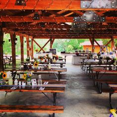 tables and benches are set up for an outdoor event with sunflowers on them