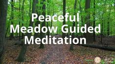 Peaceful Meadow Guided Meditation | Hope and Daisies Peaceful Meadow, Daisy, How To Become, Mindfulness, Instagram