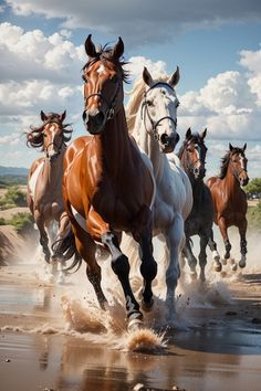 five horses running on the beach in front of some clouds and water with their heads turned to the camera