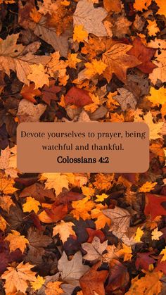 leaves with the words, devote ourselves to prayer being watched and thankful colossians