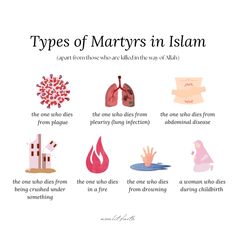 martyrs in islam #martyr #islam #quran #muslim #allah #reminder #islamicreminders #islamicquote #islamicreminders #daily Dental Hygiene Student, Ramadan Tips, Learn Something New Everyday, Muslim Couple Quotes