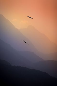 two birds flying in the sky at sunset with mountains in the background