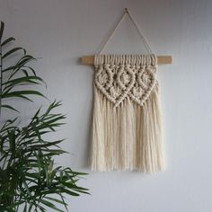 there is a plant and a macrame hanging on the wall