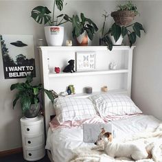 a dog laying on top of a bed next to a book shelf and potted plants