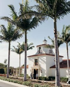 palm trees line the street in front of a white building