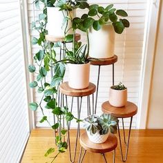 three tiered plant stand with potted plants on top and one in the middle