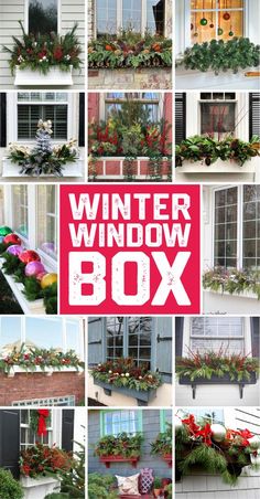 the winter window box is filled with flowers and greenery, including holly wreaths