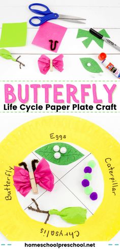 paper plate crafts for kids to make butterfly life cycle