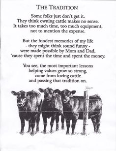 Livestock Quotes, Cow Quotes, Farm Quotes, Show Cows, Cowboy Quotes, Show Cattle, Showing Livestock, Cattle Ranching, Cattle Farming