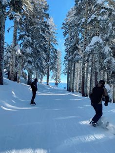 two snowboarders are going down a snowy hill in the woods with trees on either side