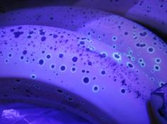 two bananas with black spots on them sitting next to each other in front of a purple light