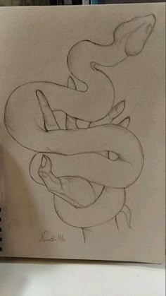 a drawing of a snake with its mouth open