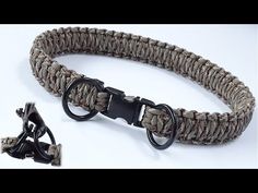 a close up of a dog collar and leash on a white background with an open buckle