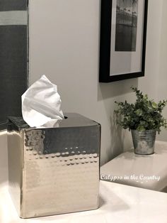 a white toilet sitting in a bathroom next to a mirror and potted green plant