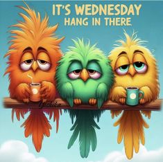 three birds sitting on top of a branch with coffee cups in their beaks and the words, it's wednesday hang in there