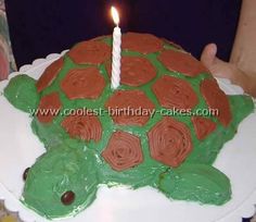 a birthday cake with a tortoise on it and a candle in the middle