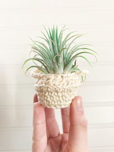 a hand holding a small crochet potted plant in it's palm