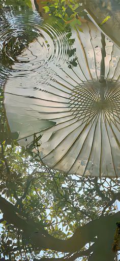 an umbrella floating on top of a body of water next to green plants and trees