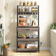 a shelf filled with lots of food and condiments next to a potted plant