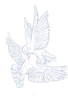 a drawing of a bird flying with its wings spread