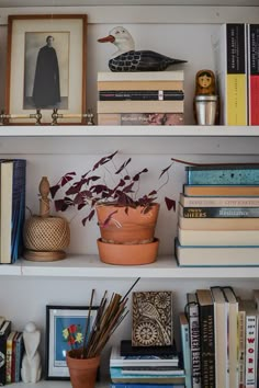 some books and plants are sitting on the shelves in front of each other with pictures above them