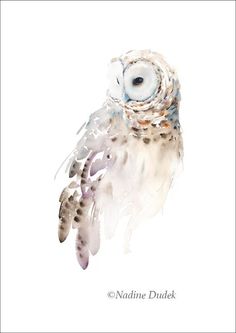 watercolor painting of an owl with feathers