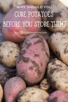 potatoes with the words, why should you care potatoes before you store them?